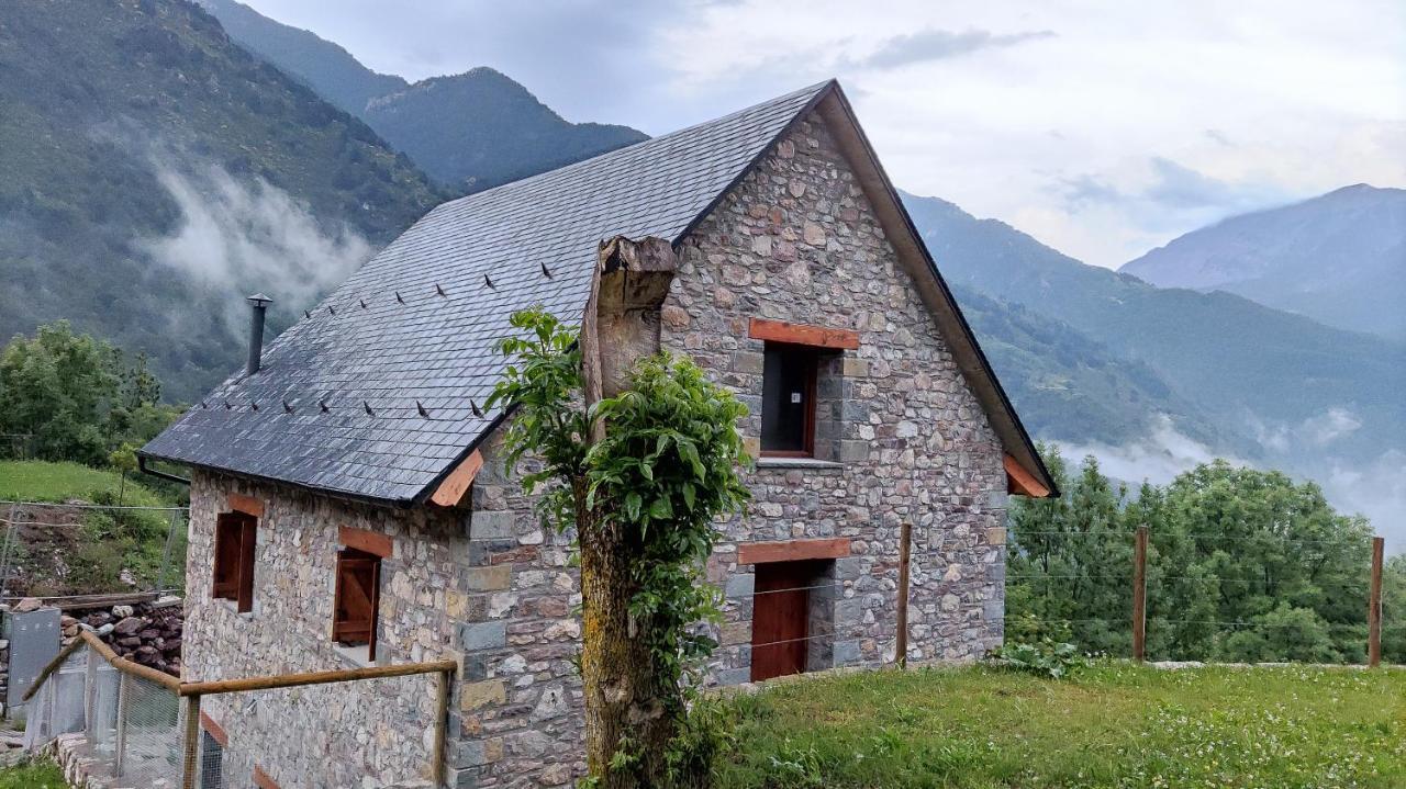 Apartament Balcon De Pineta Bielsa Zewnętrze zdjęcie